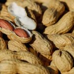 Growing Peanuts Indoor: Step-by-Step Care Guide