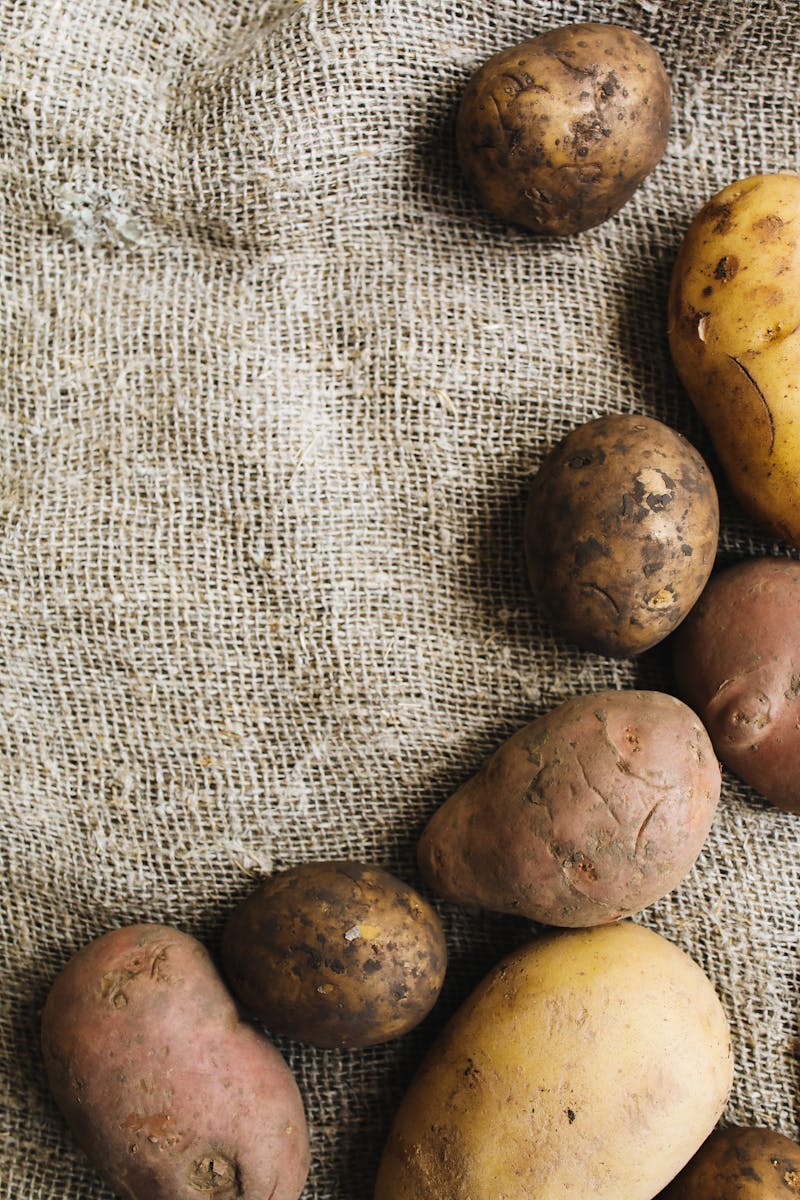 Close-up of fresh organic potatoes on rustic burlap fabric, showcasing texture and nutrition.
