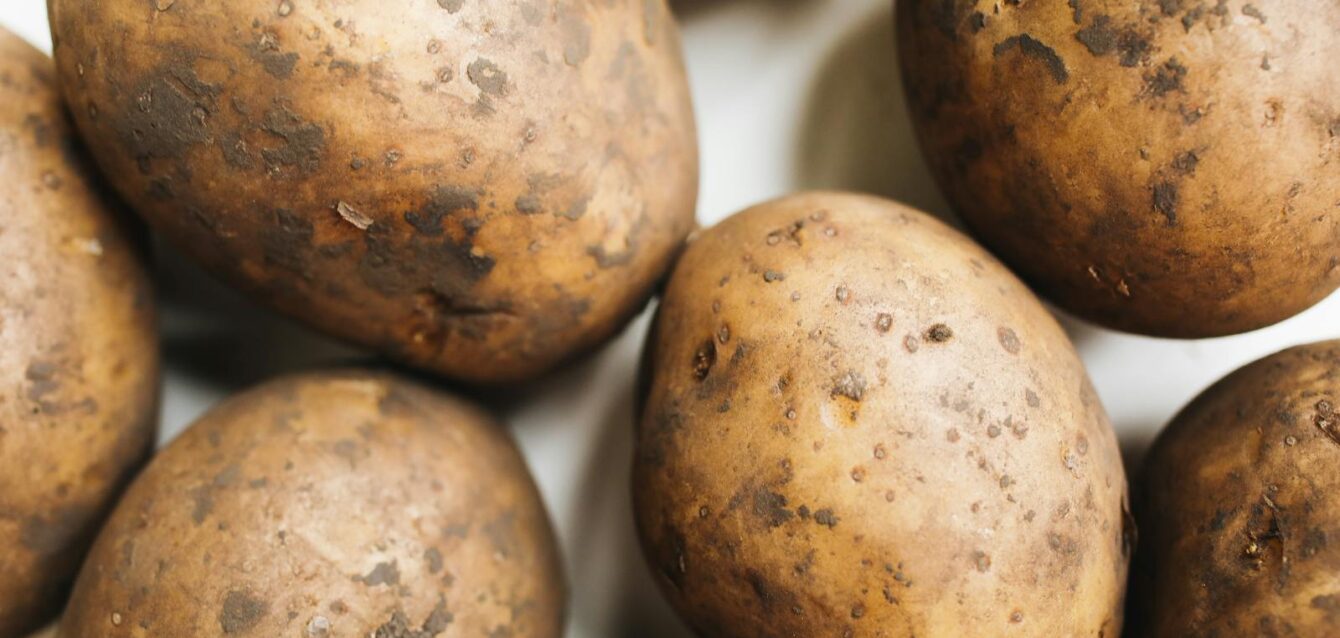A close-up view of freshly harvested potatoes showcasing their natural texture and rustic appearance.