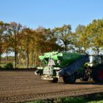 Fertilizers vs. Manure: Understanding the Difference