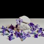 Discover The Best Smelling Flowers for Indoors