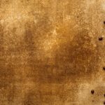 Coffee Grounds for Plants: A Natural Fertilizer Guide