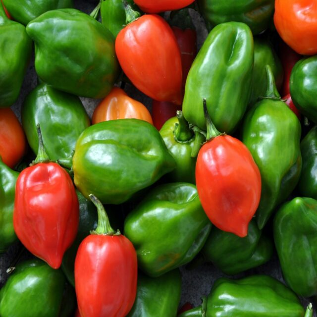 green and red bell peppers