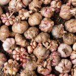 When Is Garlic Ready To Harvest - Growing Guide