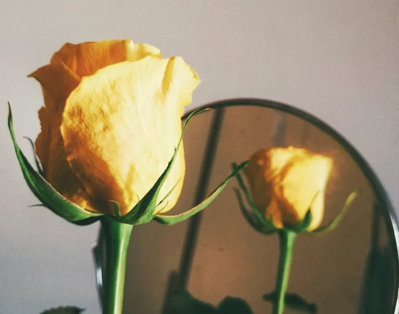 Photo by Chiara F yellow-petaled flowers