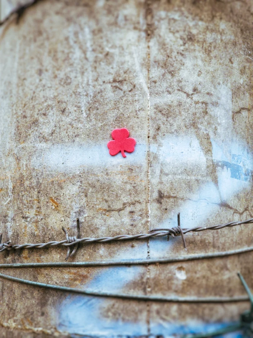 Photo by Belmin Aljovic Red clover sticker on weathered metal with barbed wire.
